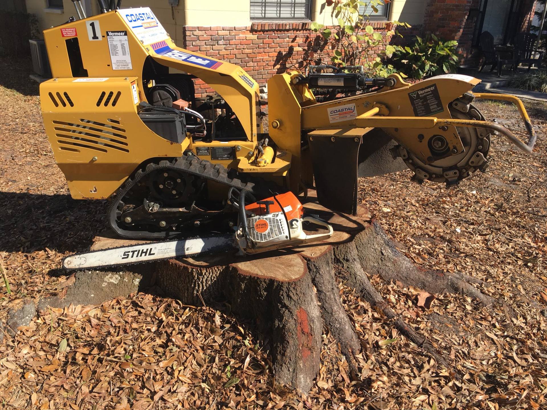 A Stump Grinding Machine Removing A Stump — Tampa, FL — A Baker's Tree Service