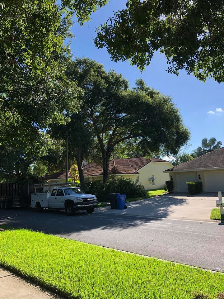 A White Truck Under The Tree — Tampa, FL — A Baker's Tree Service