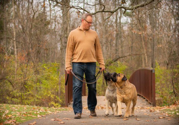 A man is walking two dogs on a leash.