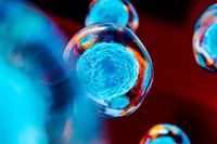 Amniotic Stem Cell — Newport, RI — Newport Family Foot Care Amniotic Stem Cell — Newport, RI — Newport Family Foot Care