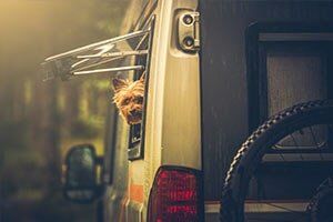 Dog looks out of a van window in a forest setting with bicycle and trailer attached.