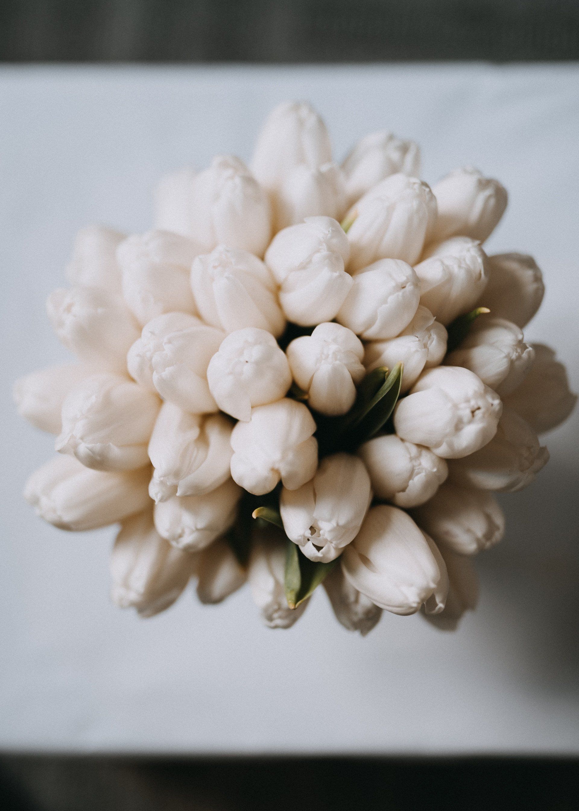 A close up of a bunch of white flowers on a table.