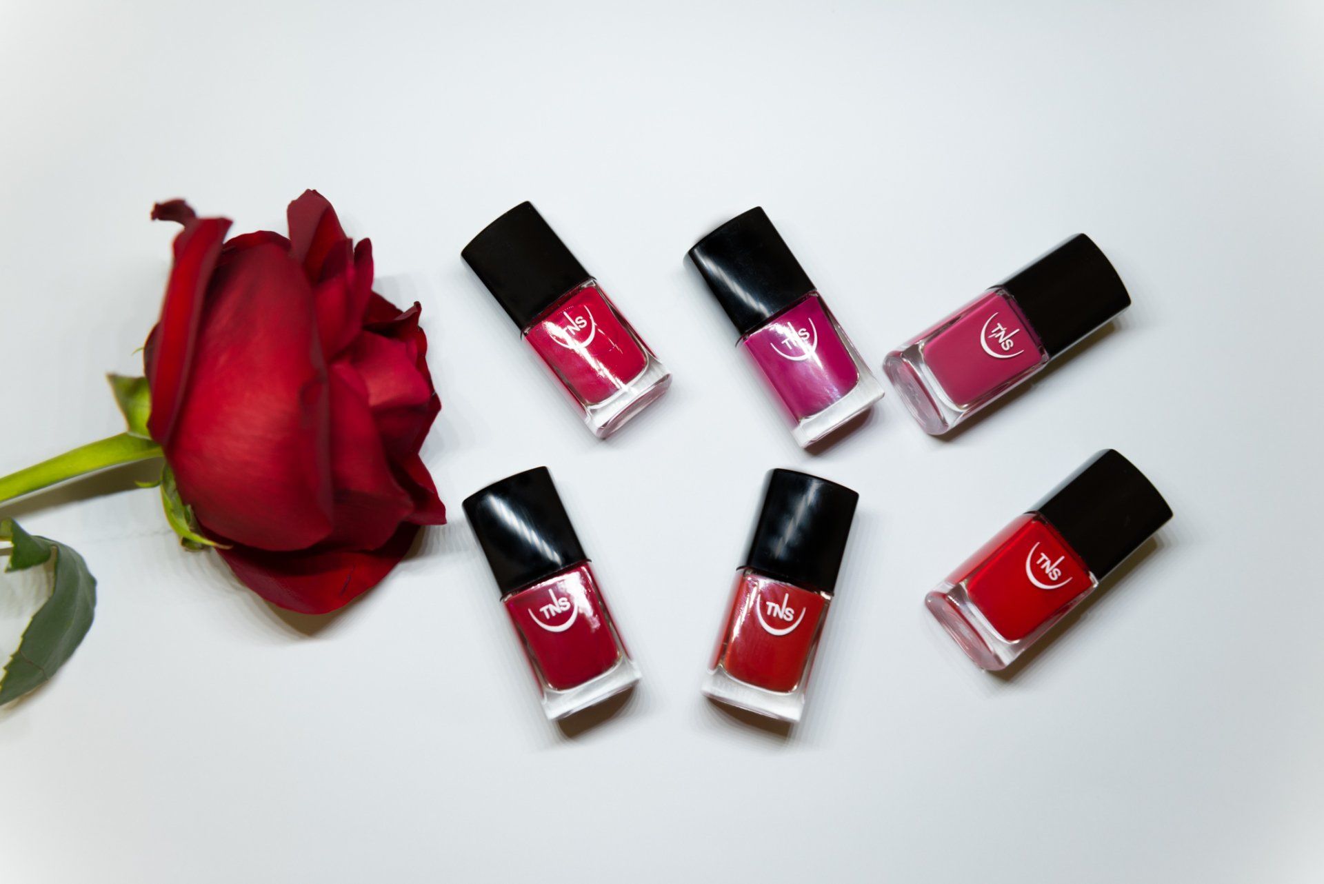 Sei boccette di smalto per unghie di varie tonalità di rosso, disposte accanto a una rosa rosso scuro su sfondo bianco.