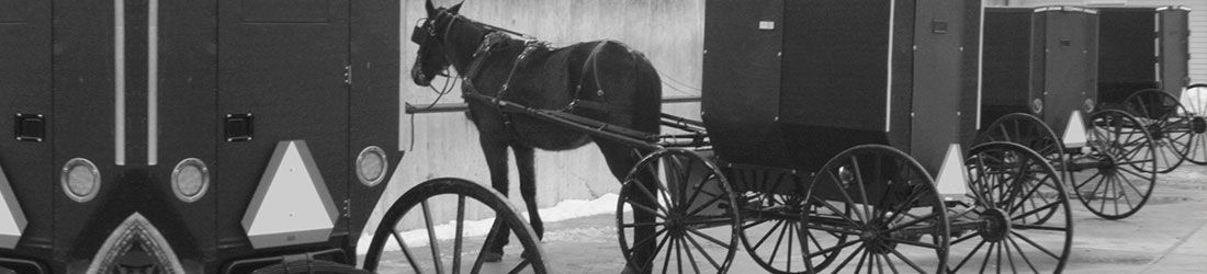 horse and buggies