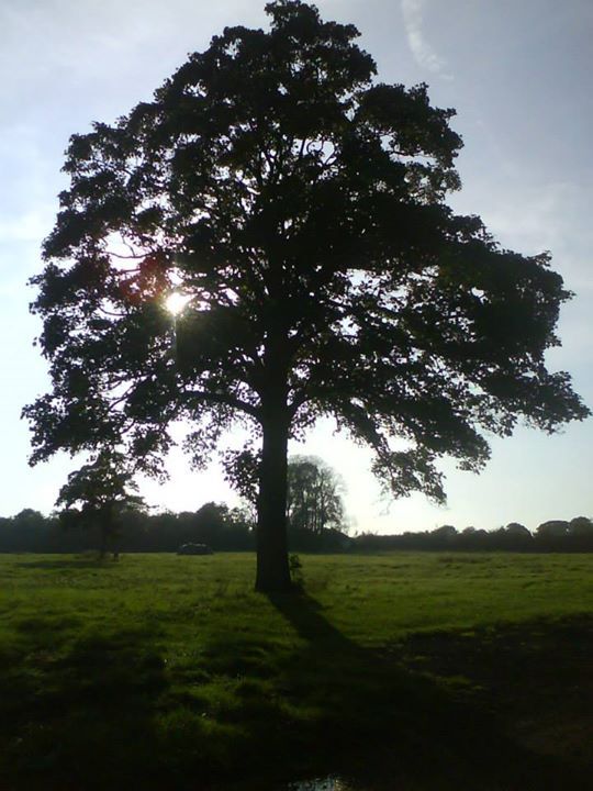 Jockhedge Holiday Cottages - Touring Site