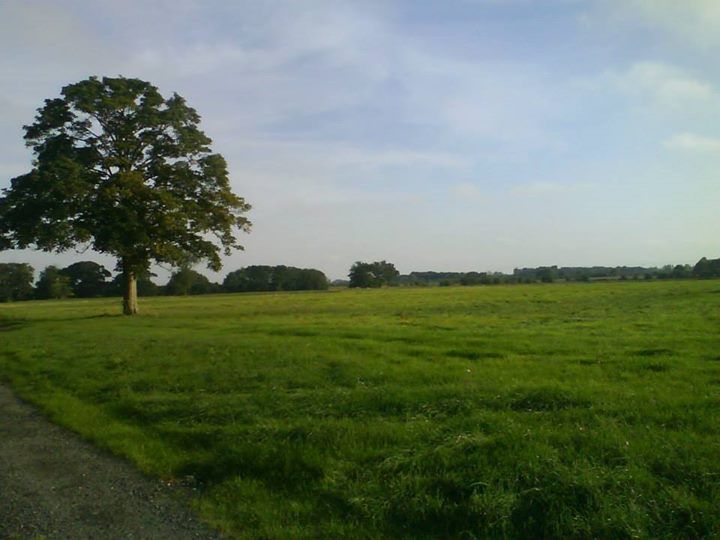 Jockhedge Holiday Cottages