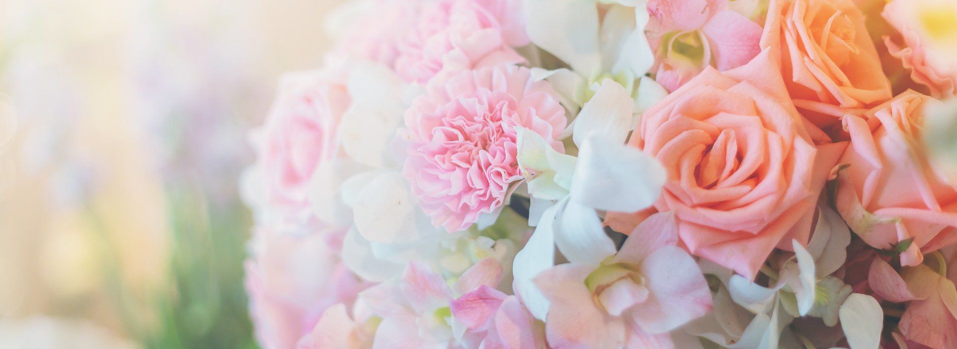 Pink and white flowers