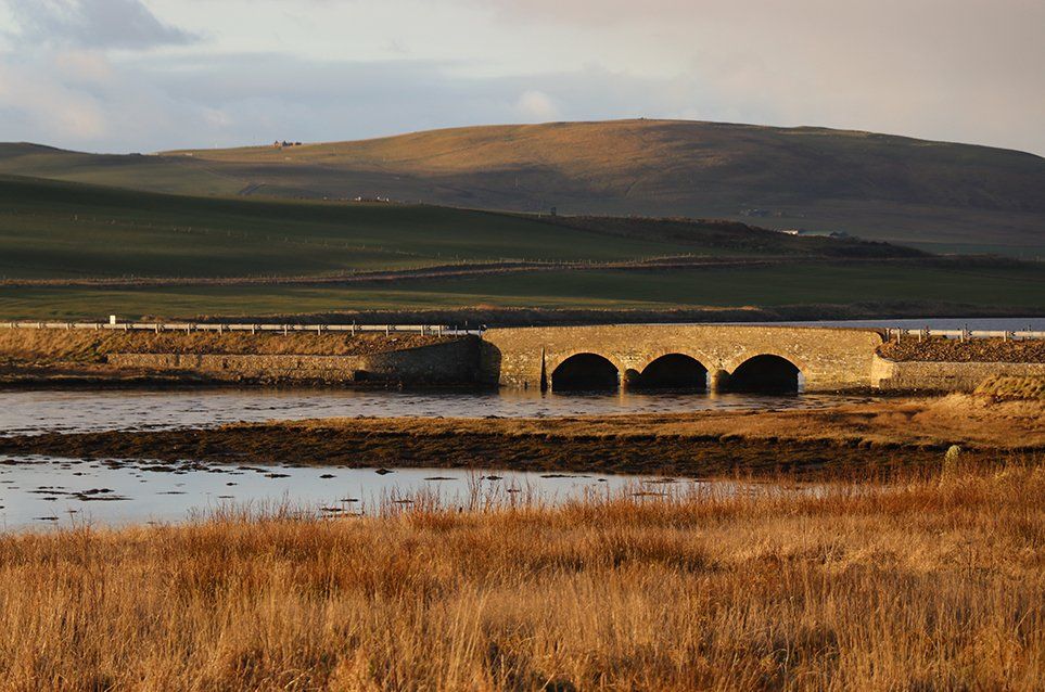 self orkney gallery