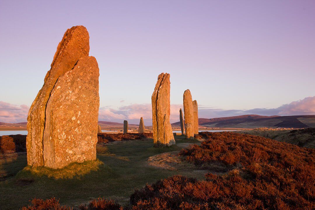 self orkney gallery