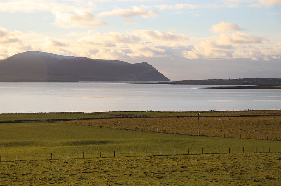 self orkney gallery