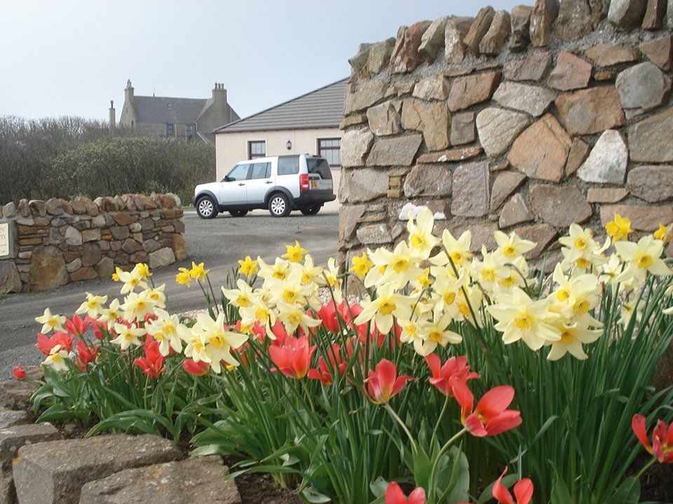 self orkney gallery