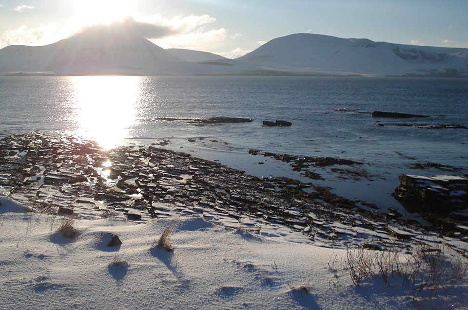 self orkney gallery