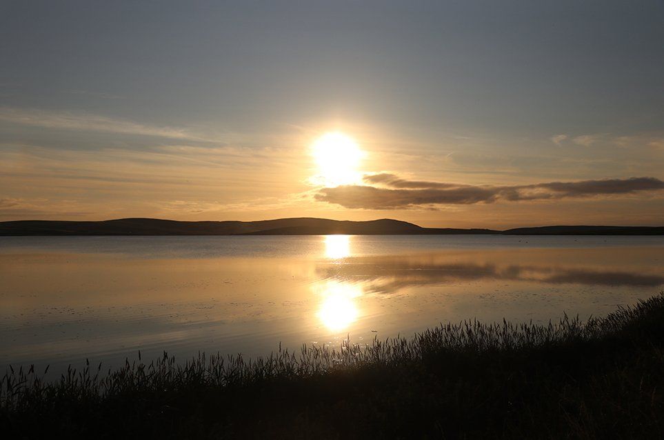 self orkney gallery