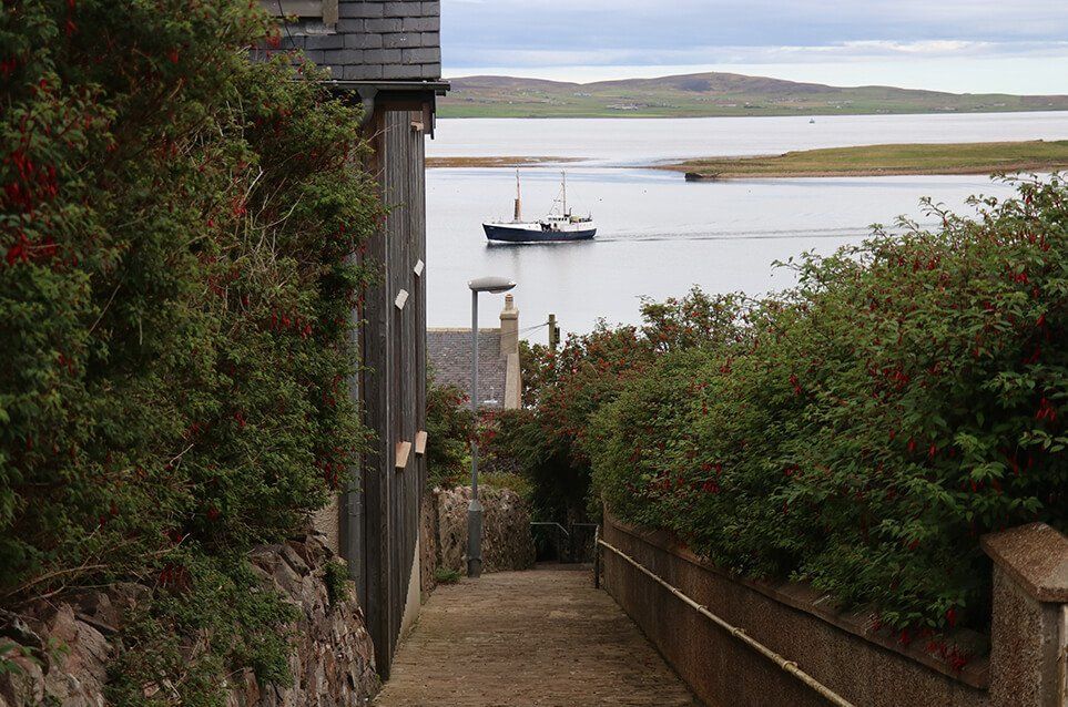 self orkney gallery