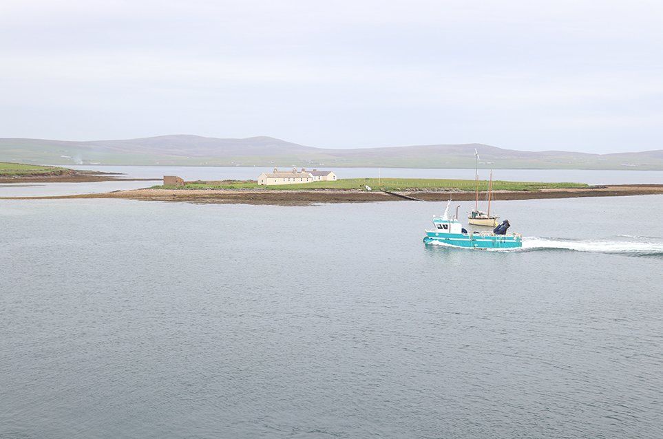 self orkney gallery