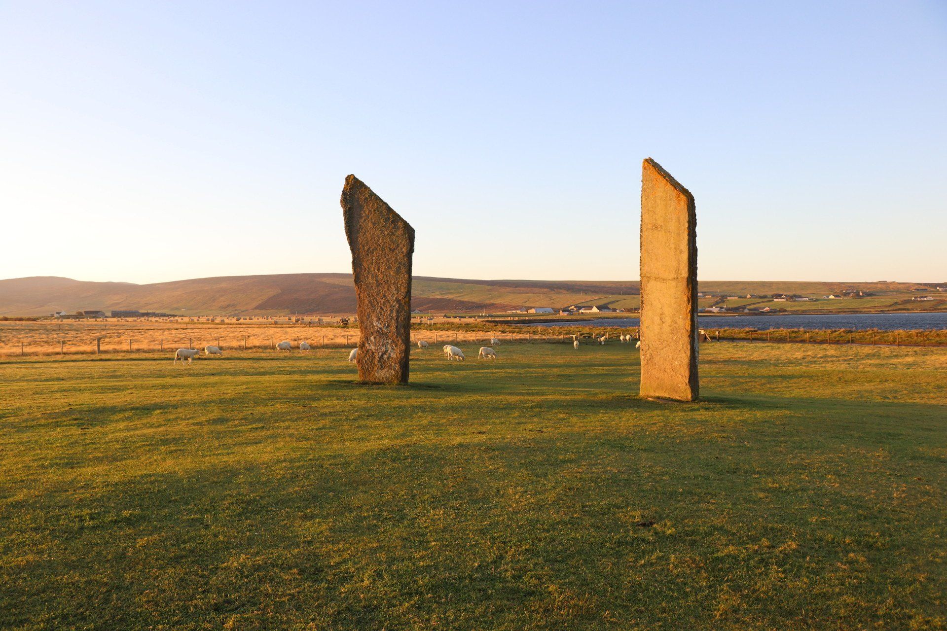 self orkney gallery