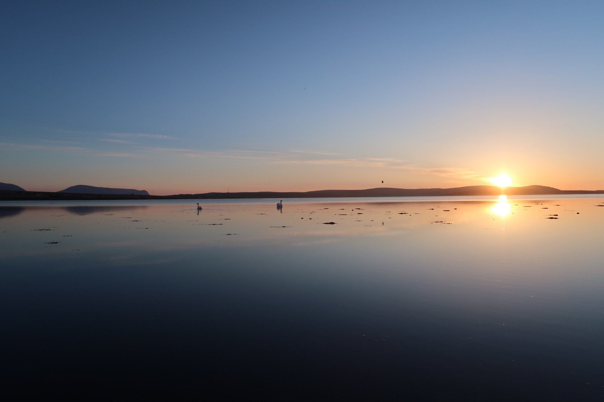 self orkney gallery