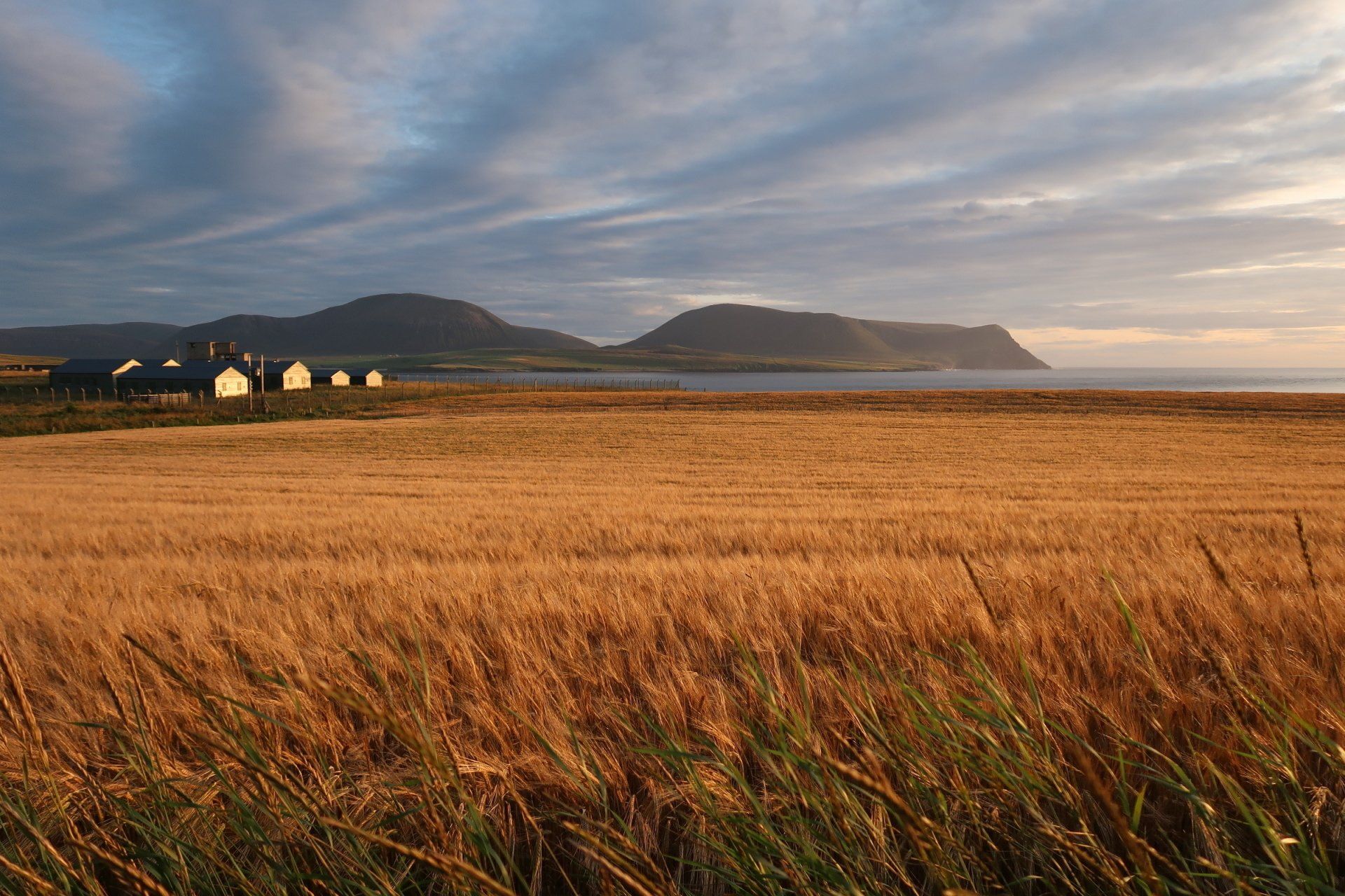 self orkney gallery