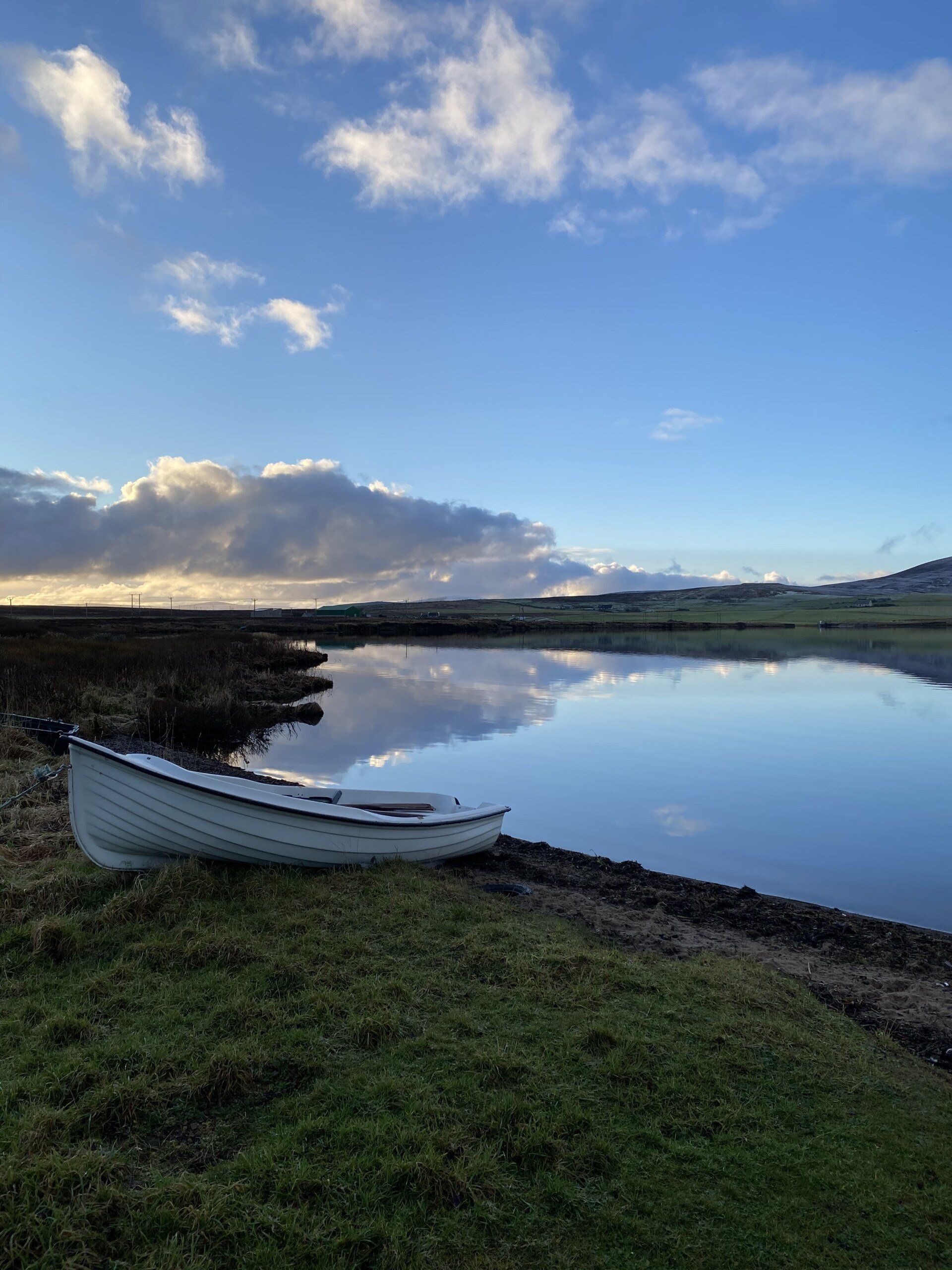 self orkney gallery