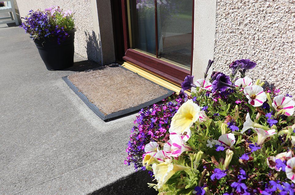 self orkney gallery