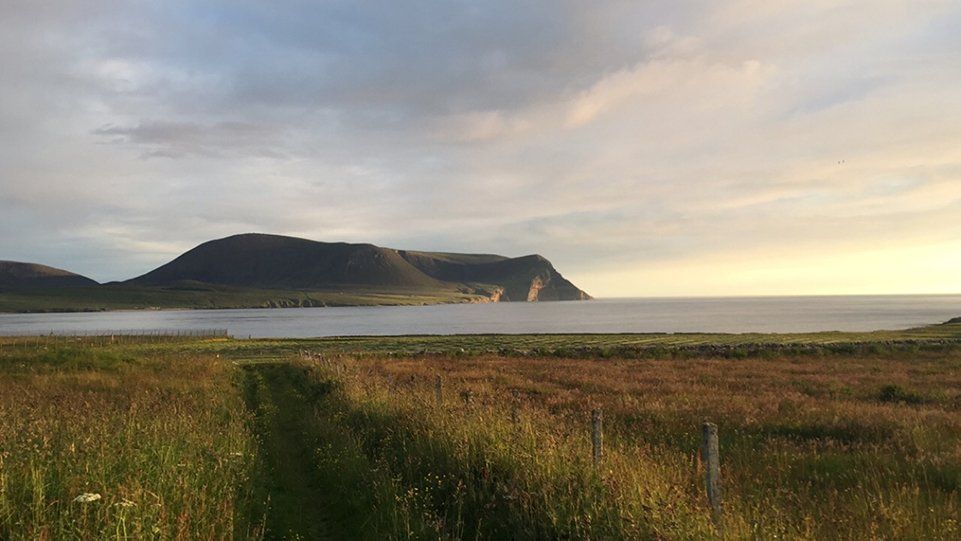 self orkney gallery