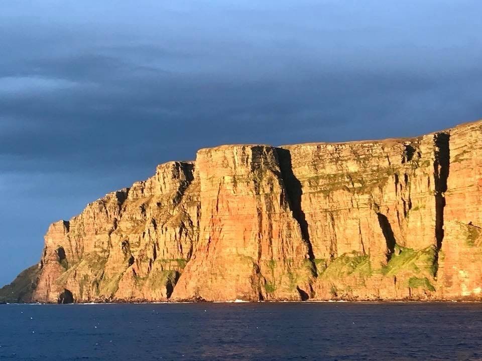 self orkney gallery