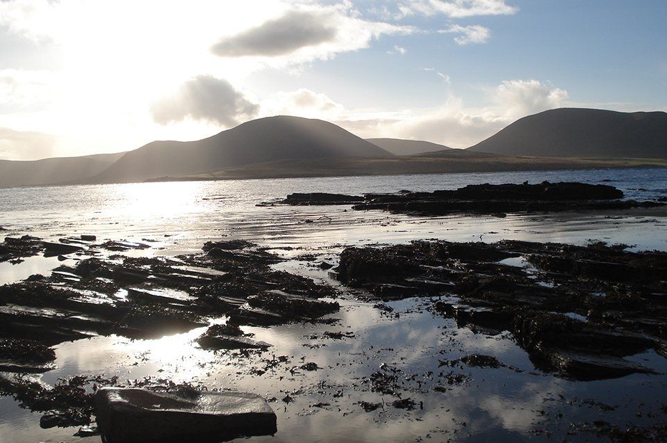 self orkney gallery