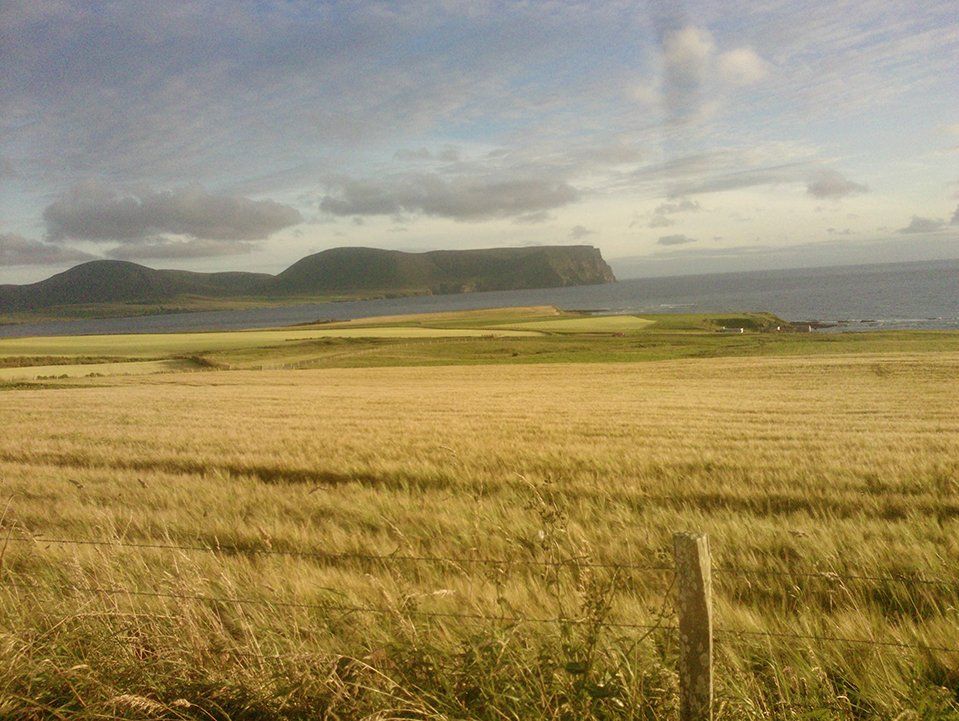 self orkney gallery