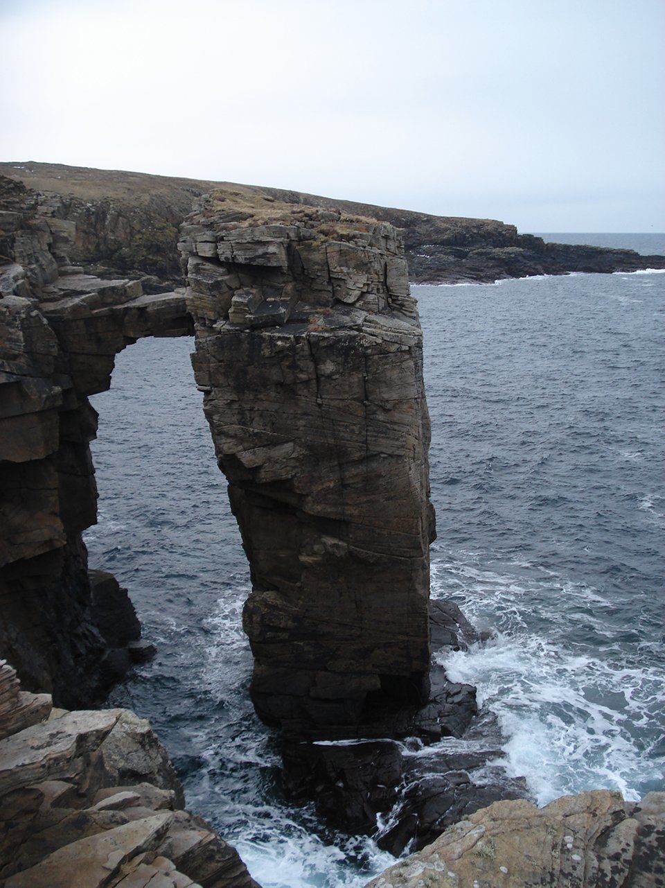 self orkney gallery