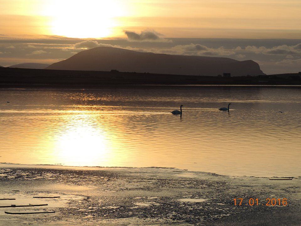 self orkney gallery