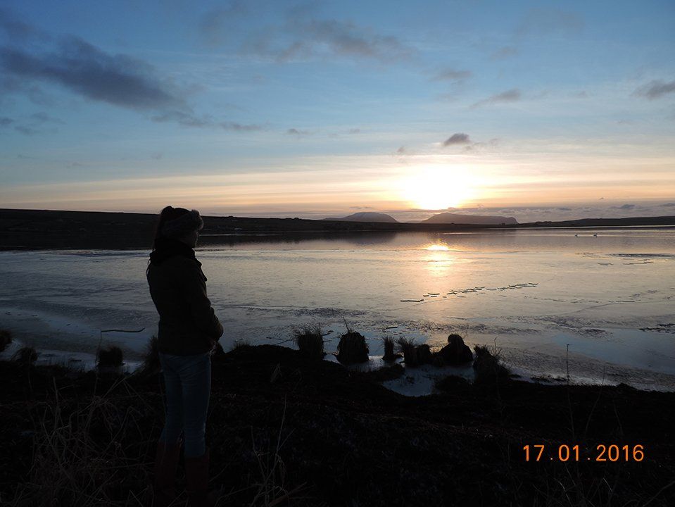self orkney gallery