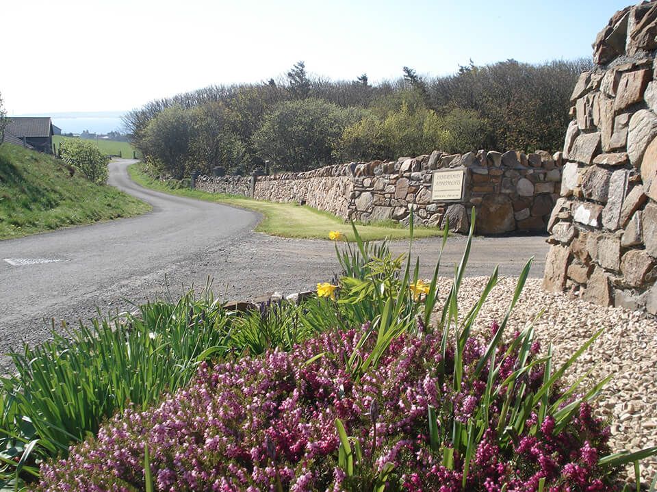 self orkney gallery