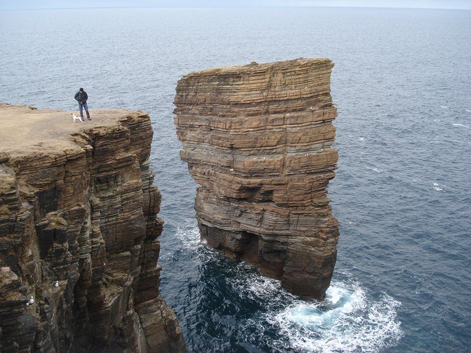self orkney gallery