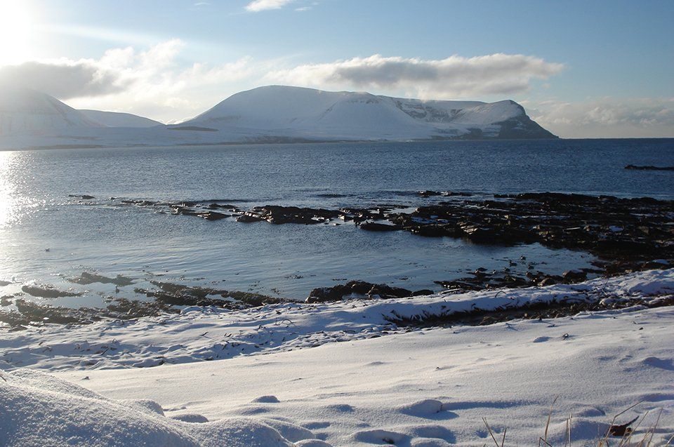 self orkney gallery