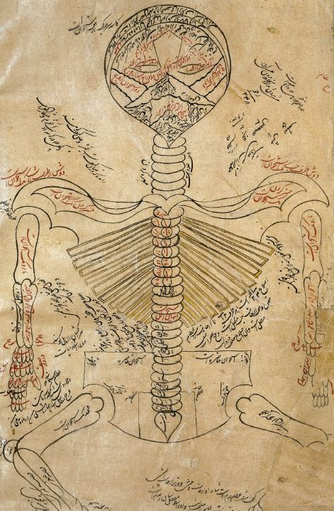 Avicenna’s Canon of Medicine
