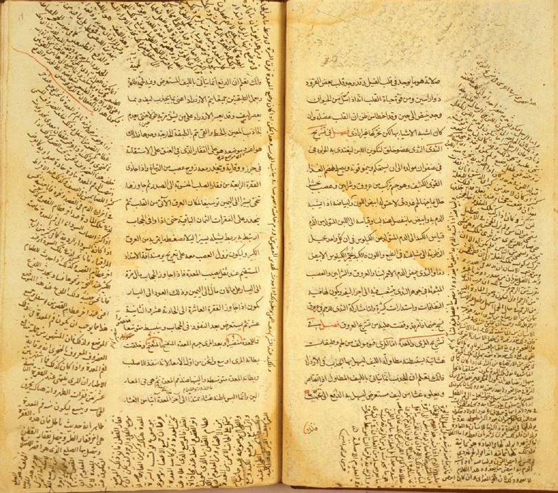 Canon of Medicine by Ibn Sīnā