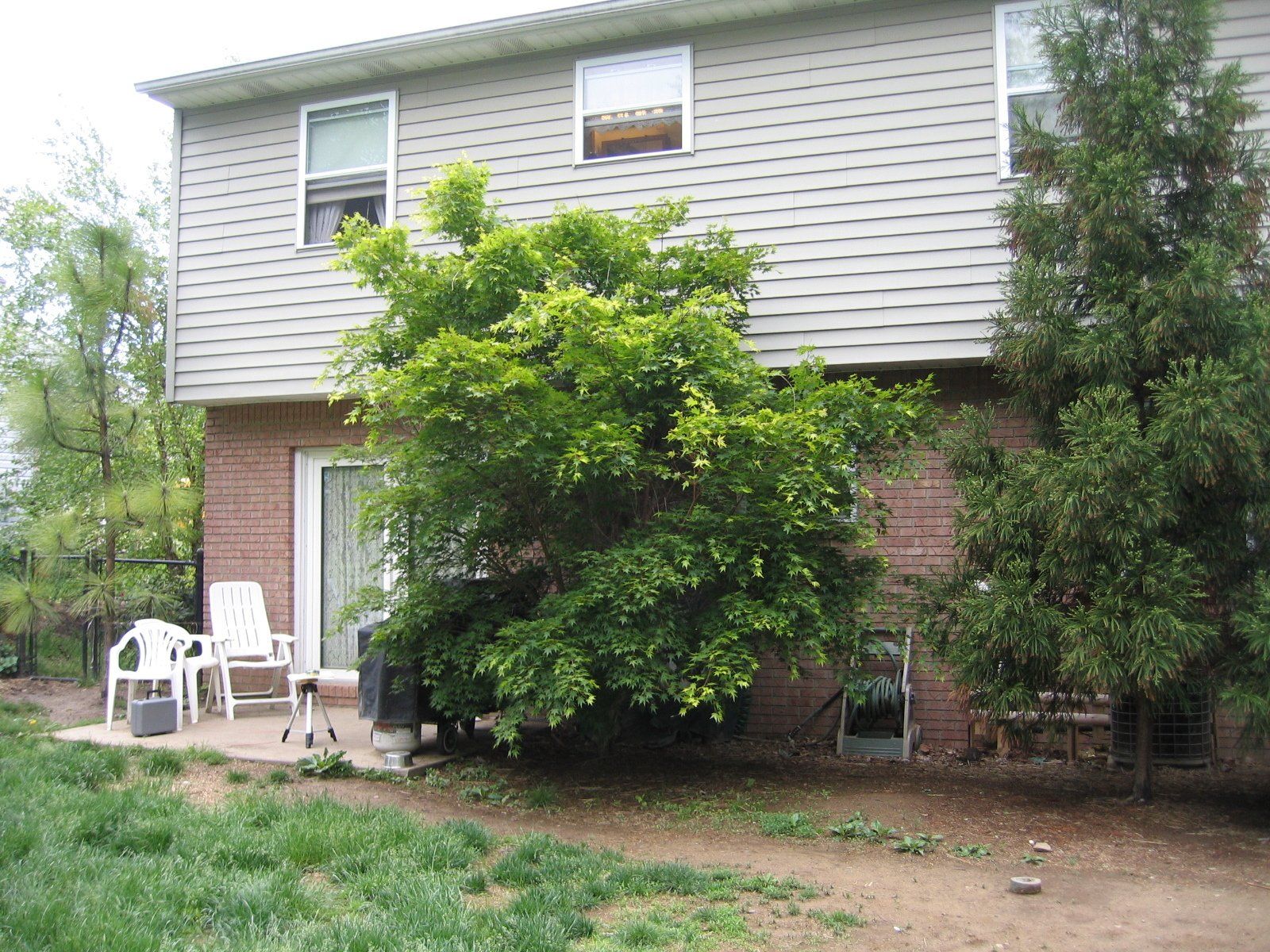 The backyard of a house with a tree in front of it