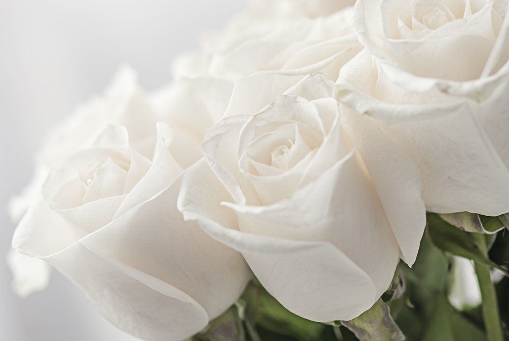 Fiori freschi per la commemorazione dei defunti