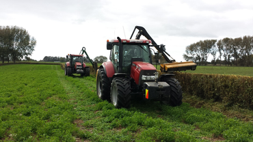 Hedge trimming