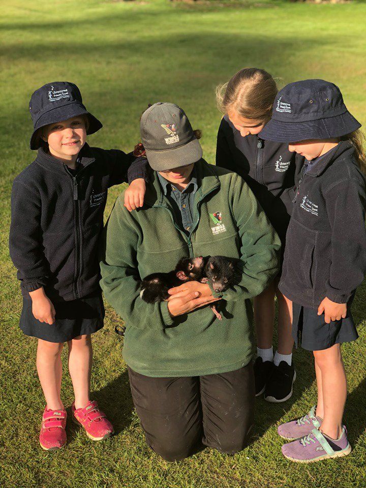 School Group Tours