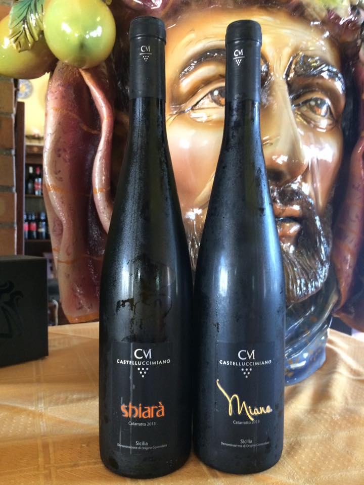 vini a marchio Castelluccimiano