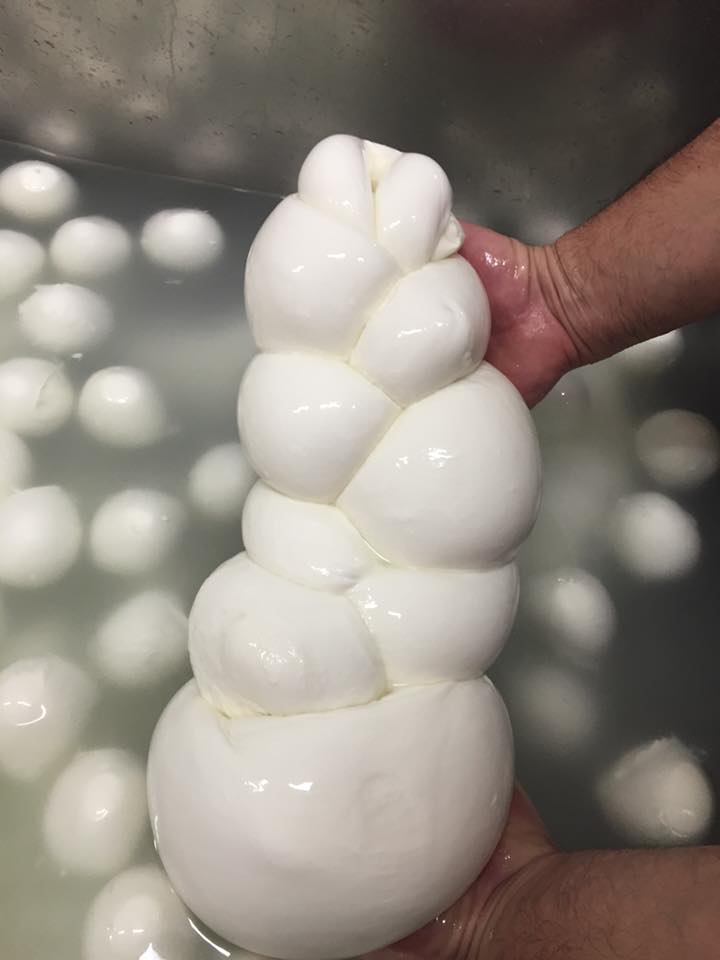Treccia di provola