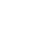 steering wheel icon