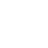 tire icon