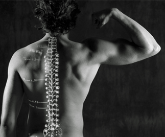 Backbone - Chiropractic Care in Union, NJ Backbone - Chiropractic Care in Union, NJ