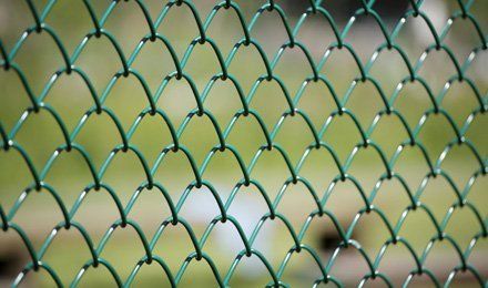 livestock fence