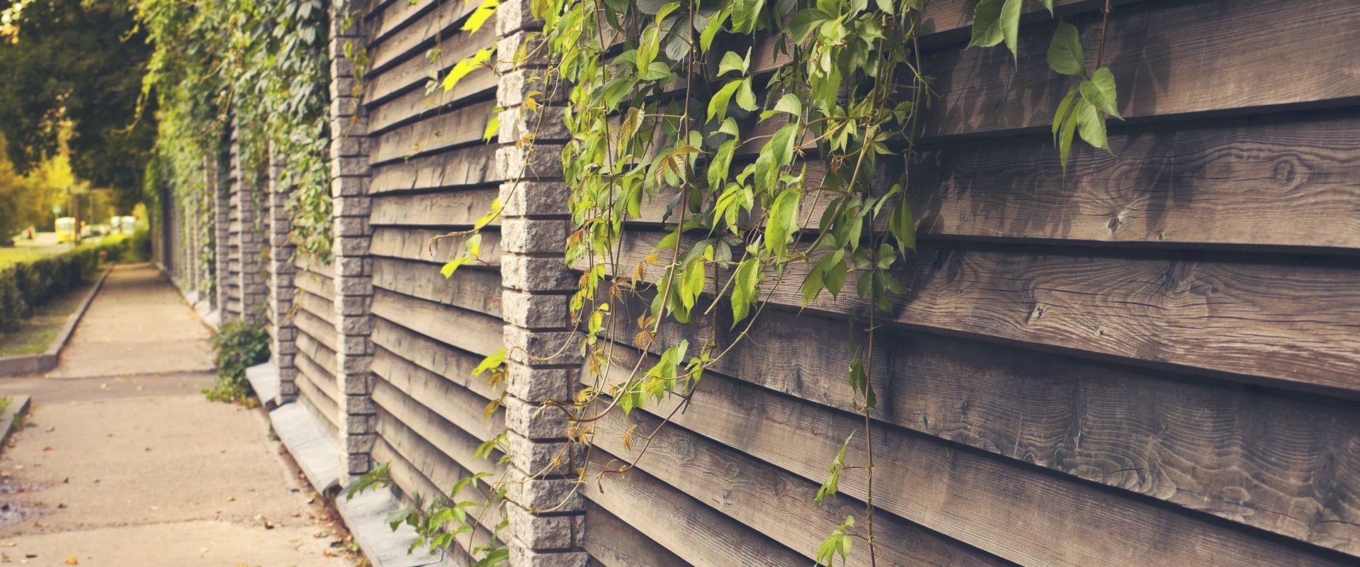 wooden fence
