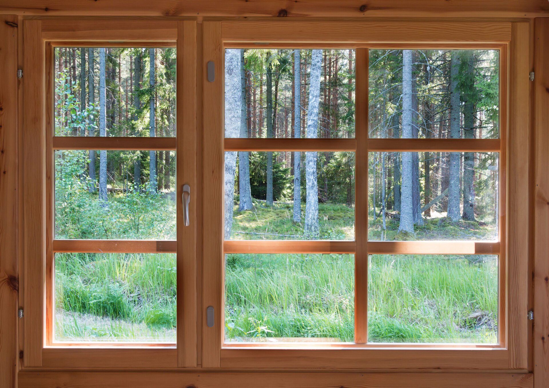 Windows