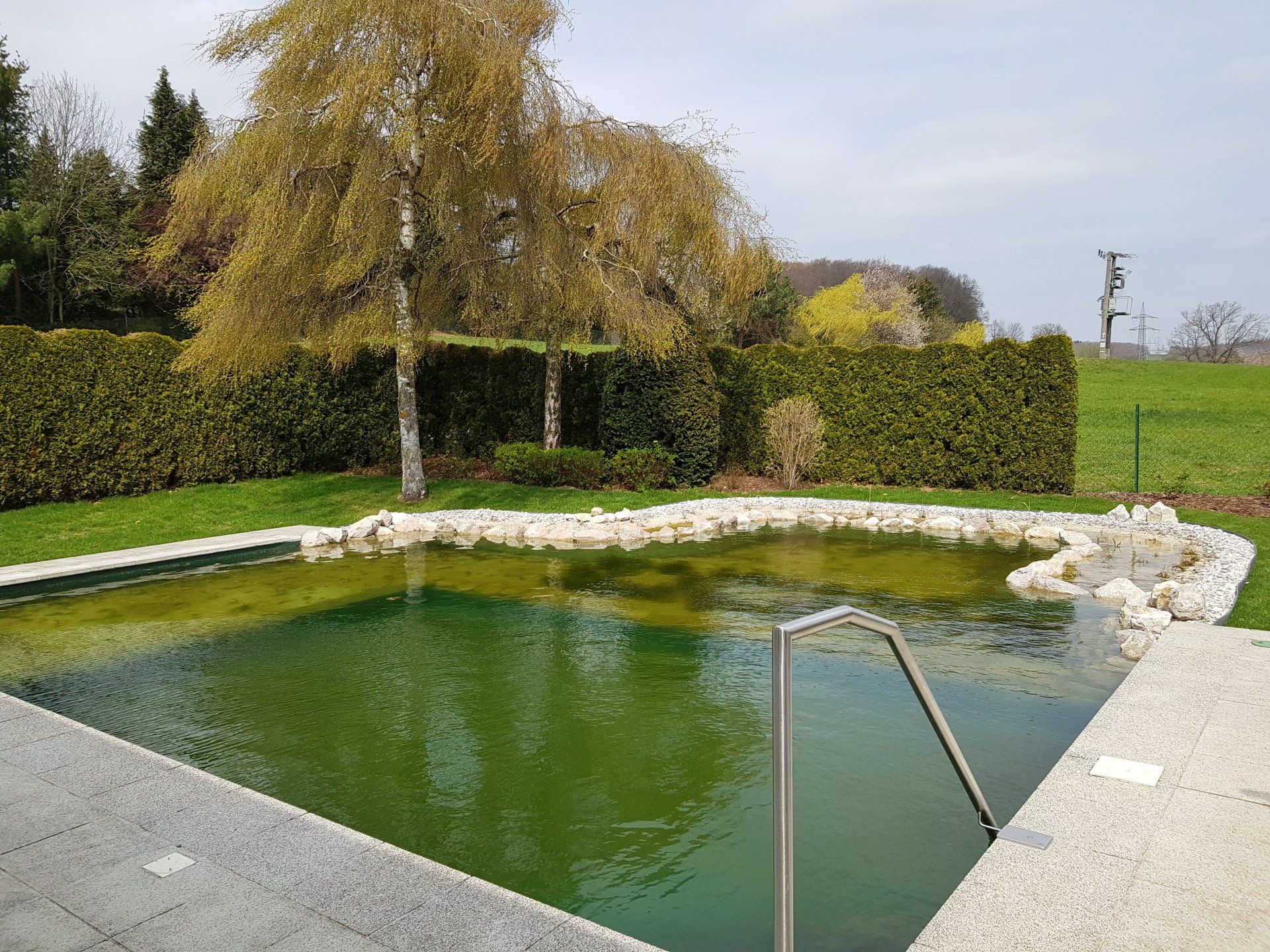 Schwimmteich-Naturpool