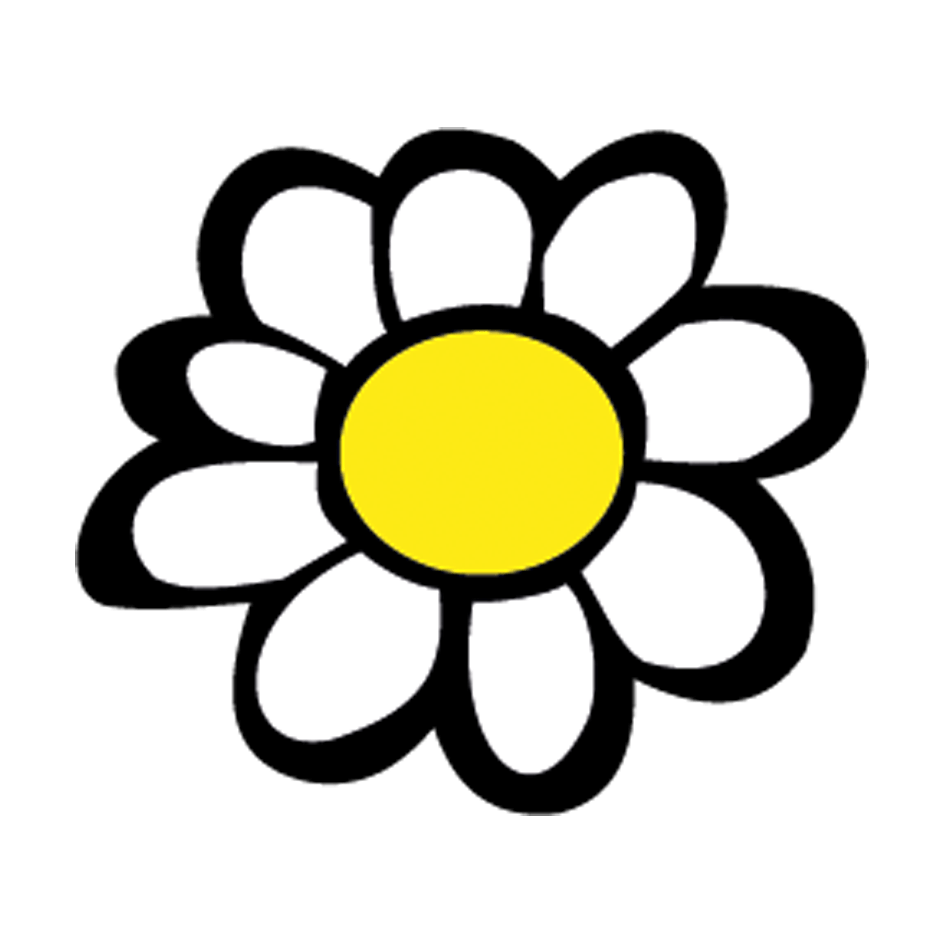 Blume mit weißen Blättern und gelben Blütenstaub